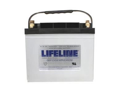 Lifeline Battery Picture