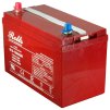 Rolls Surrette Battery Picture